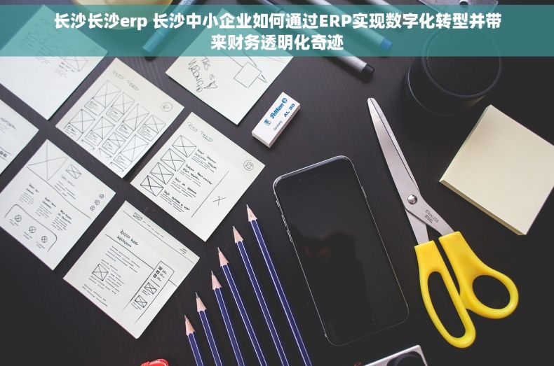 长沙长沙erp 长沙中小企业如何通过ERP实现数字化转型并带来财务透明化奇迹