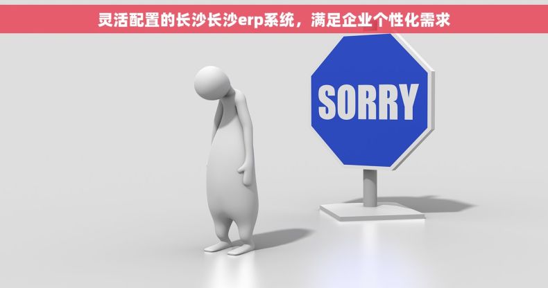 灵活配置的长沙长沙erp系统，满足企业个性化需求