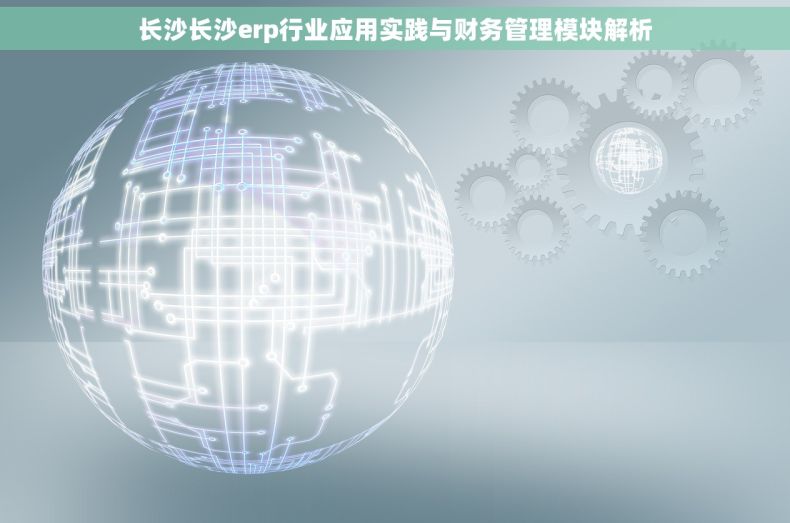 长沙长沙erp行业应用实践与财务管理模块解析
