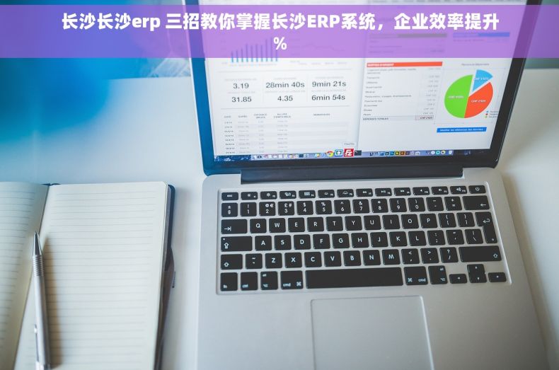 长沙长沙erp 三招教你掌握长沙ERP系统，企业效率提升%