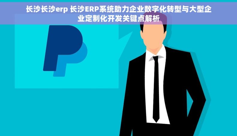 长沙长沙erp 长沙ERP系统助力企业数字化转型与大型企业定制化开发关键点解析