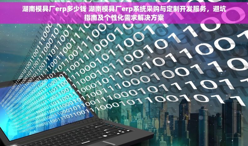湖南模具厂erp多少钱 湖南模具厂erp系统采购与定制开发服务，避坑指南及个性化需求解决方案