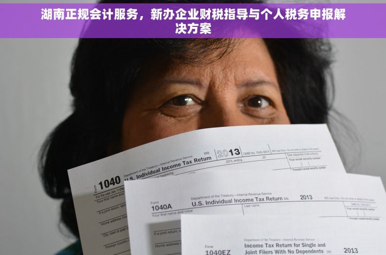 湖南正规会计服务，新办企业财税指导与个人税务申报解决方案
