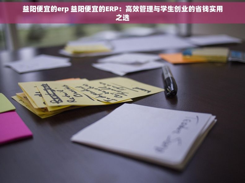 益阳便宜的erp 益阳便宜的ERP：高效管理与学生创业的省钱实用之选