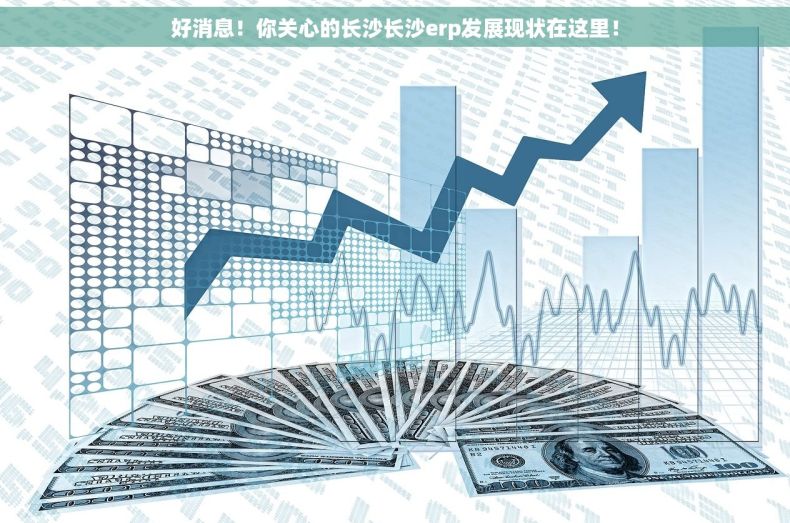 好消息！你关心的长沙长沙erp发展现状在这里！