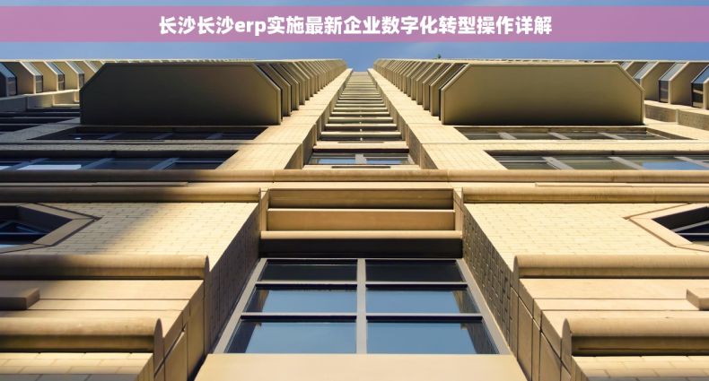 长沙长沙erp实施最新企业数字化转型操作详解