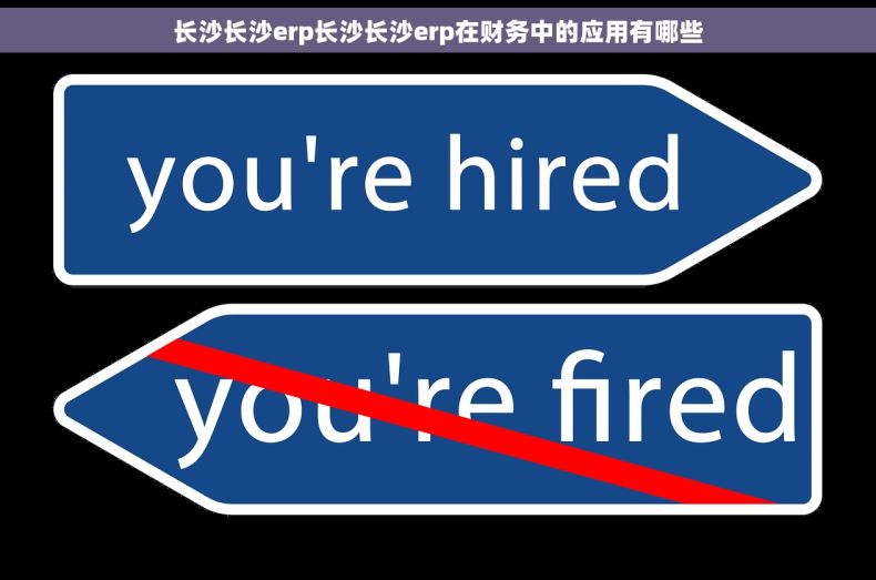 长沙长沙erp长沙长沙erp在财务中的应用有哪些