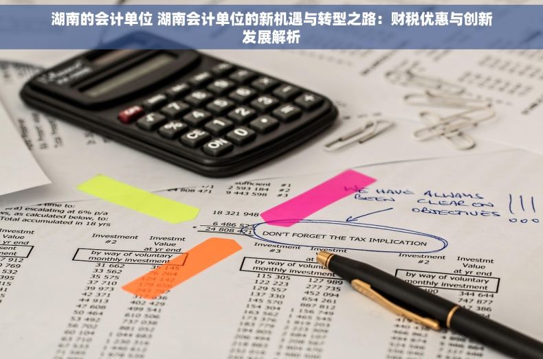湖南的会计单位 湖南会计单位的新机遇与转型之路：财税优惠与创新发展解析