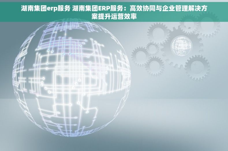 湖南集团erp服务 湖南集团ERP服务：高效协同与企业管理解决方案提升运营效率