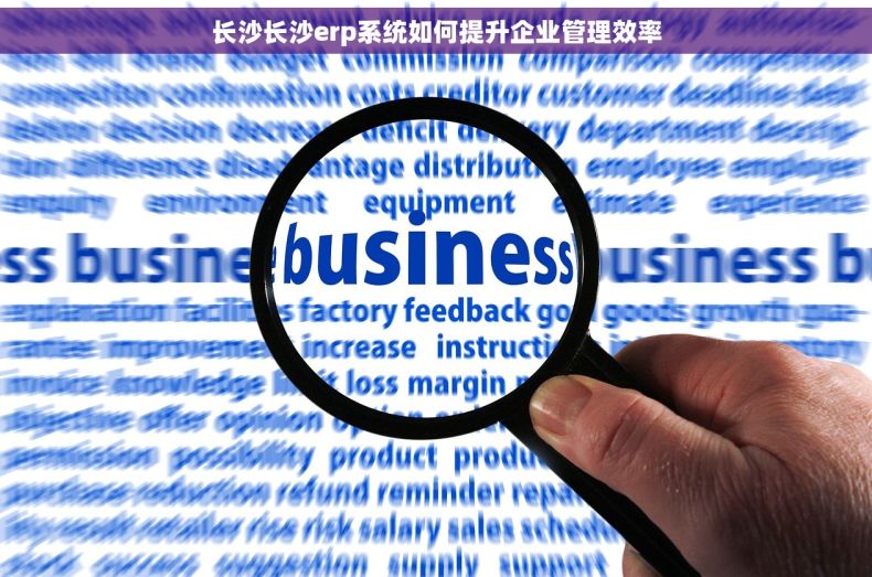 长沙长沙erp系统如何提升企业管理效率