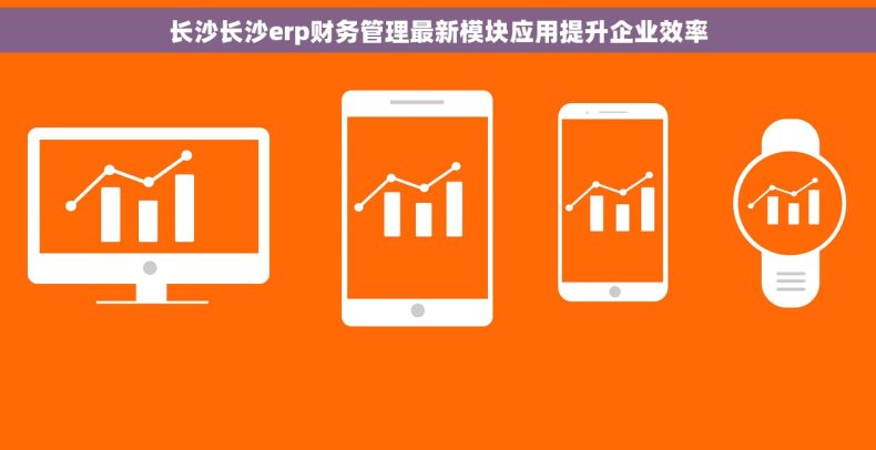 长沙长沙erp财务管理最新模块应用提升企业效率