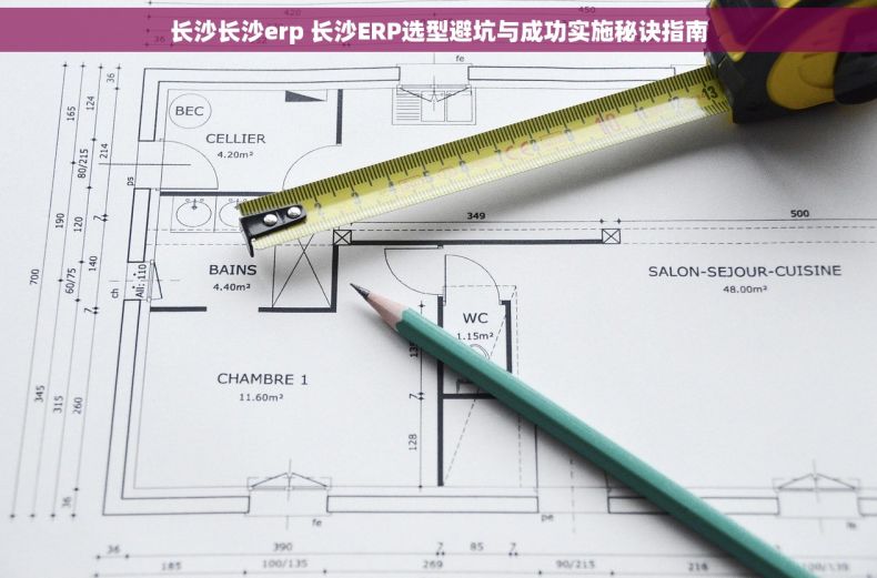长沙长沙erp 长沙ERP选型避坑与成功实施秘诀指南