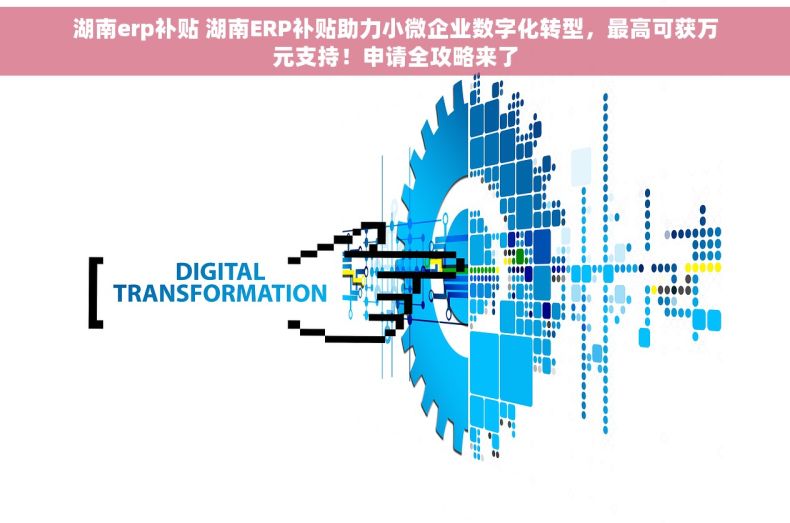 湖南erp补贴 湖南ERP补贴助力小微企业数字化转型，最高可获万元支持！申请全攻略来了