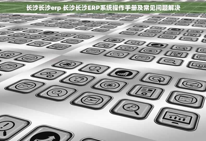 长沙长沙erp 长沙长沙ERP系统操作手册及常见问题解决
