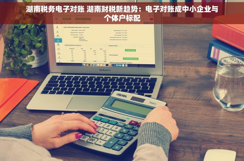 湖南税务电子对账 湖南财税新趋势：电子对账成中小企业与个体户标配