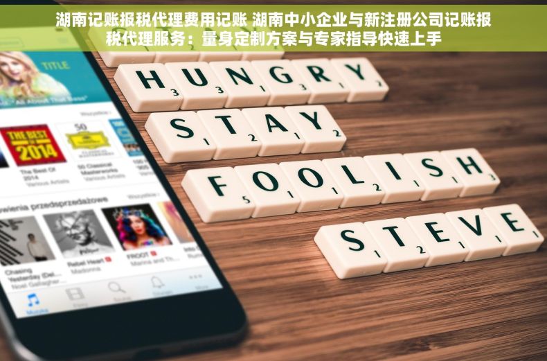 湖南记账报税代理费用记账 湖南中小企业与新注册公司记账报税代理服务：量身定制方案与专家指导快速上手