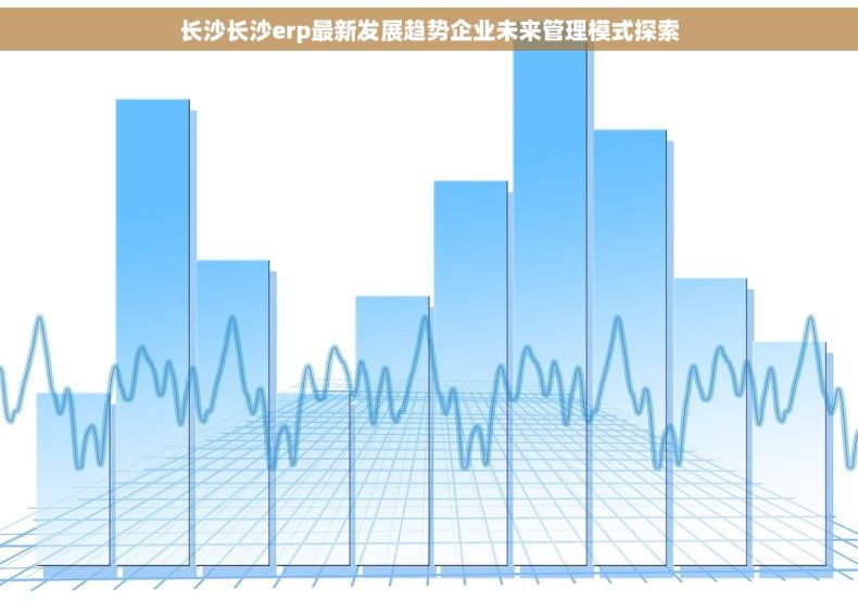 长沙长沙erp最新发展趋势企业未来管理模式探索