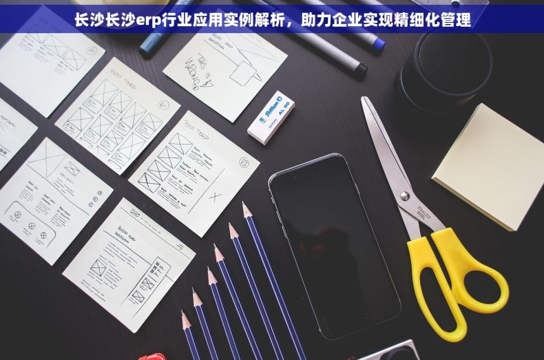 长沙长沙erp行业应用实例解析，助力企业实现精细化管理