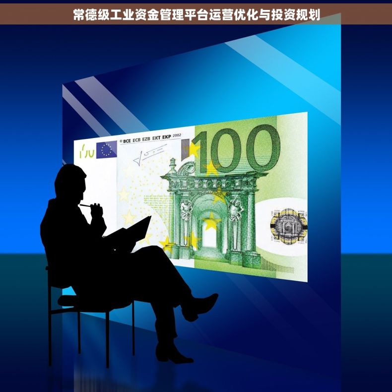 常德级工业资金管理平台运营优化与投资规划