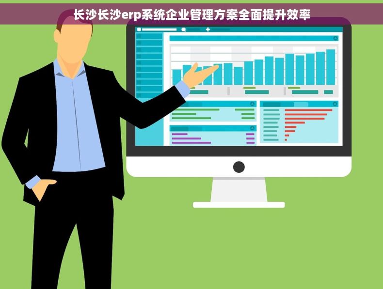 长沙长沙erp系统企业管理方案全面提升效率