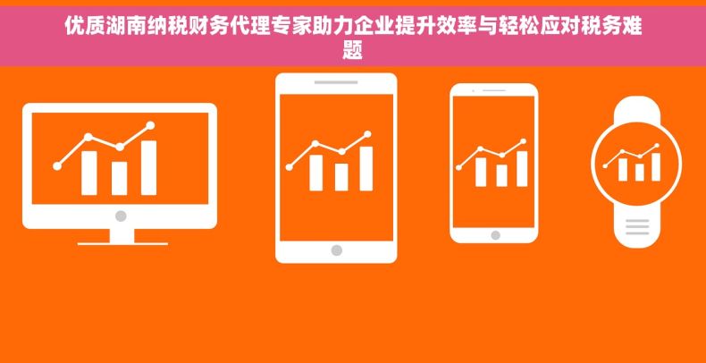 优质湖南纳税财务代理专家助力企业提升效率与轻松应对税务难题