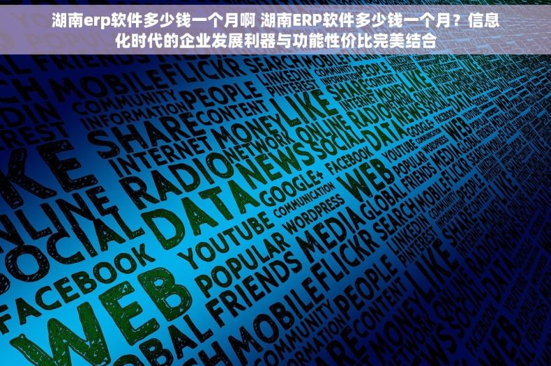 湖南erp软件多少钱一个月啊 湖南ERP软件多少钱一个月？信息化时代的企业发展利器与功能性价比完美结合