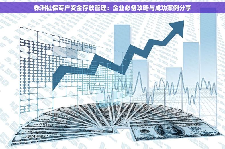 株洲社保专户资金存放管理：企业必备攻略与成功案例分享