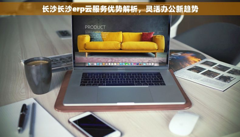 长沙长沙erp云服务优势解析，灵活办公新趋势