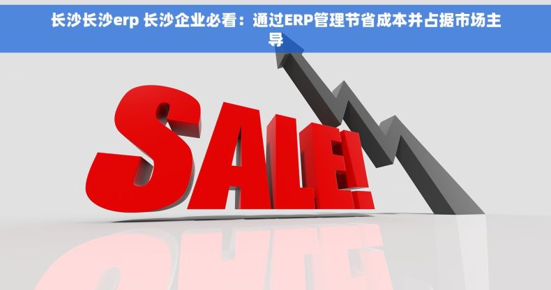 长沙长沙erp 长沙企业必看：通过ERP管理节省成本并占据市场主导