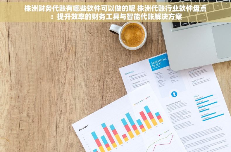 株洲财务代账有哪些软件可以做的呢 株洲代账行业软件盘点：提升效率的财务工具与智能代账解决方案