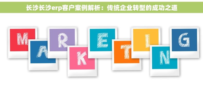 长沙长沙erp客户案例解析：传统企业转型的成功之道