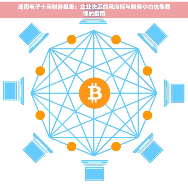 湖南电子十所财务报表：企业决策的风向标与财务小白也能看懂的指南