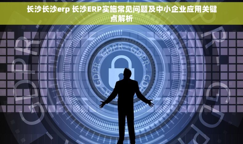 长沙长沙erp 长沙ERP实施常见问题及中小企业应用关键点解析