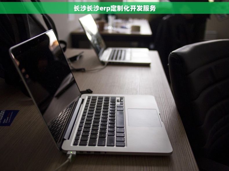 长沙长沙erp定制化开发服务