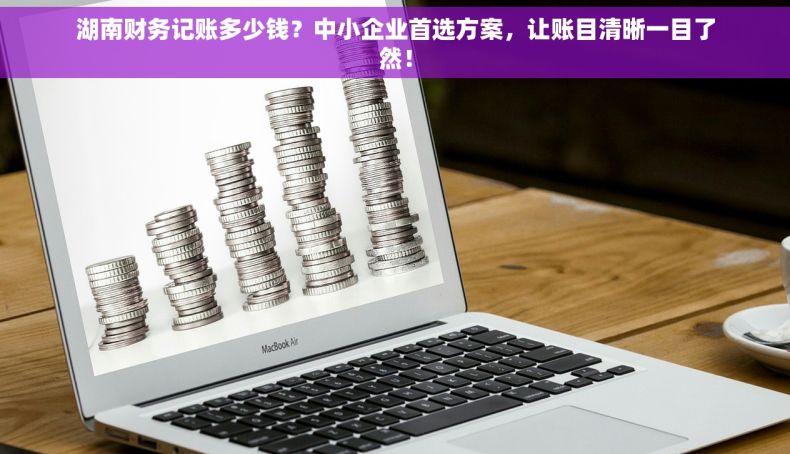 湖南财务记账多少钱？中小企业首选方案，让账目清晰一目了然！