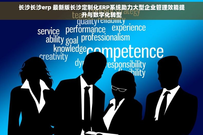 长沙长沙erp 最新版长沙定制化ERP系统助力大型企业管理效能提升与数字化转型