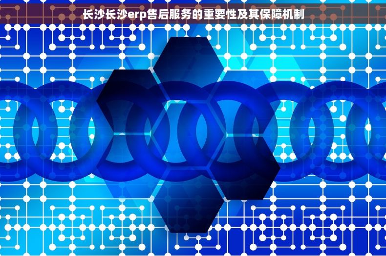 长沙长沙erp售后服务的重要性及其保障机制