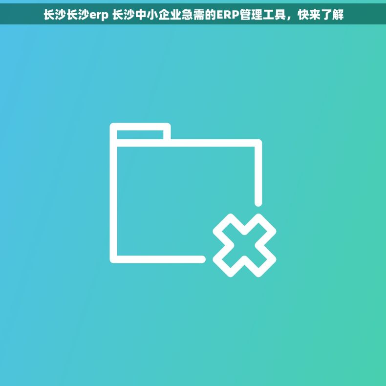 长沙长沙erp 长沙中小企业急需的ERP管理工具，快来了解