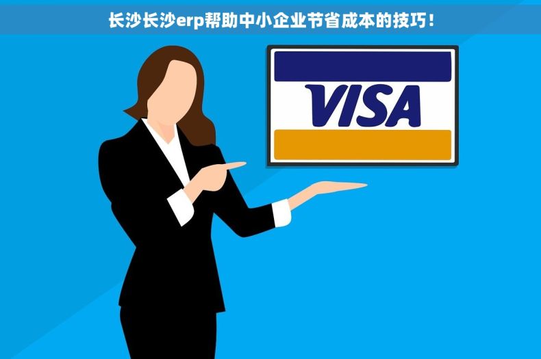 长沙长沙erp帮助中小企业节省成本的技巧！