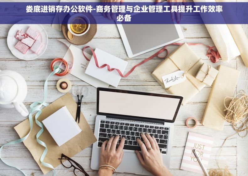 娄底进销存办公软件-商务管理与企业管理工具提升工作效率必备