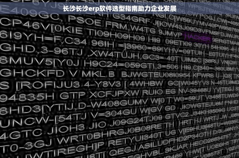 长沙长沙erp软件选型指南助力企业发展