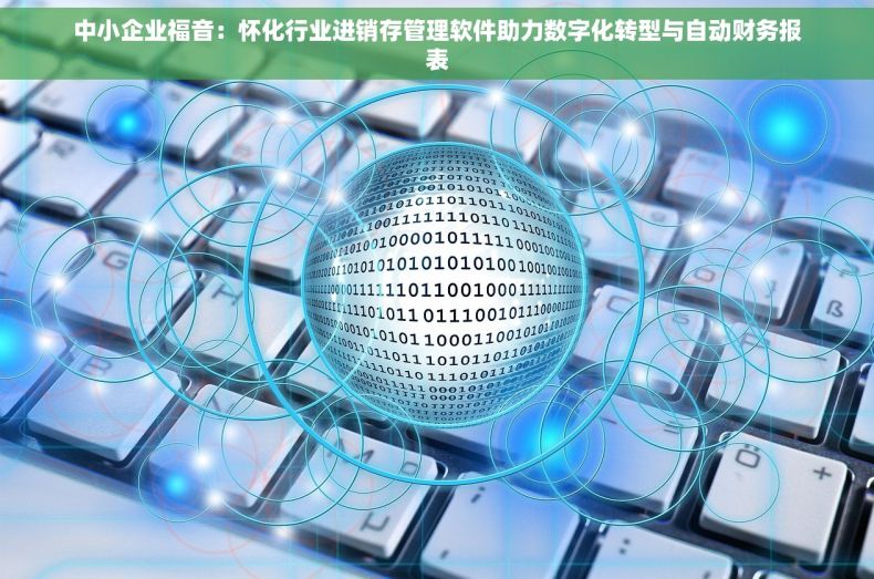 中小企业福音：怀化行业进销存管理软件助力数字化转型与自动财务报表