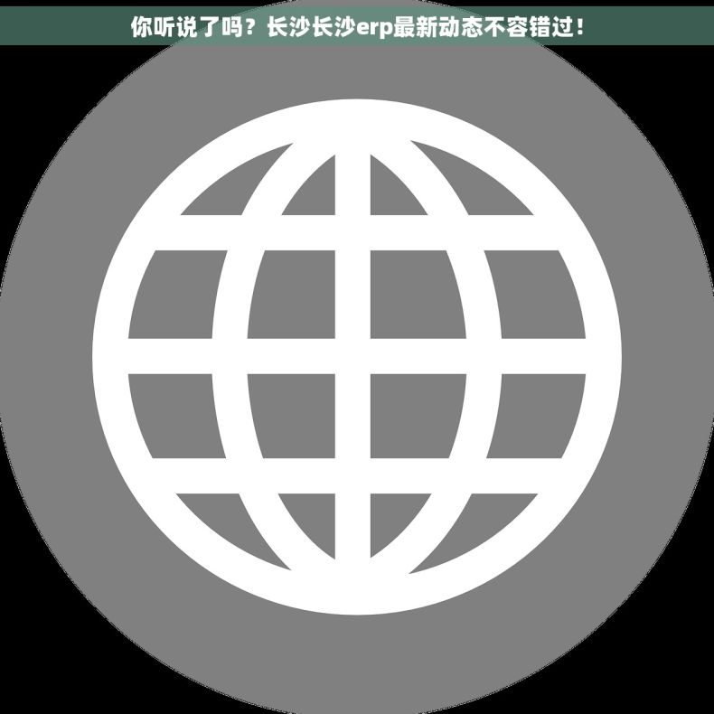 你听说了吗？长沙长沙erp最新动态不容错过！