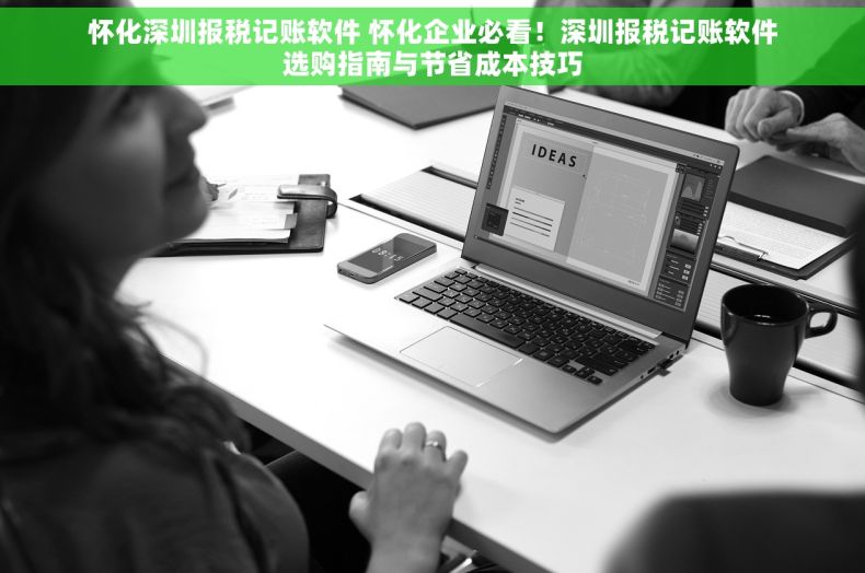 怀化深圳报税记账软件 怀化企业必看！深圳报税记账软件选购指南与节省成本技巧