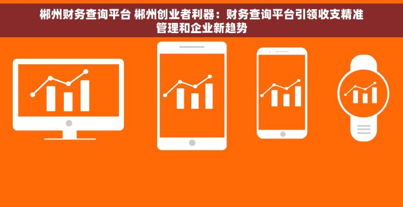 郴州财务查询平台 郴州创业者利器：财务查询平台引领收支精准管理和企业新趋势