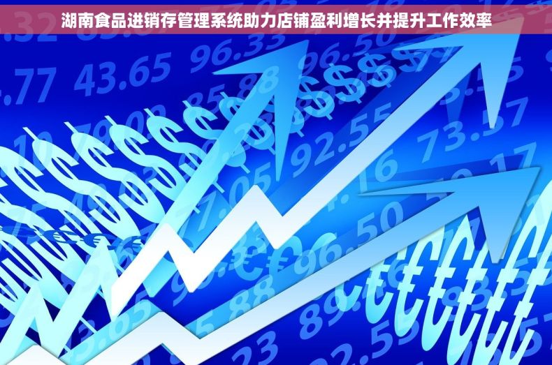 湖南食品进销存管理系统助力店铺盈利增长并提升工作效率