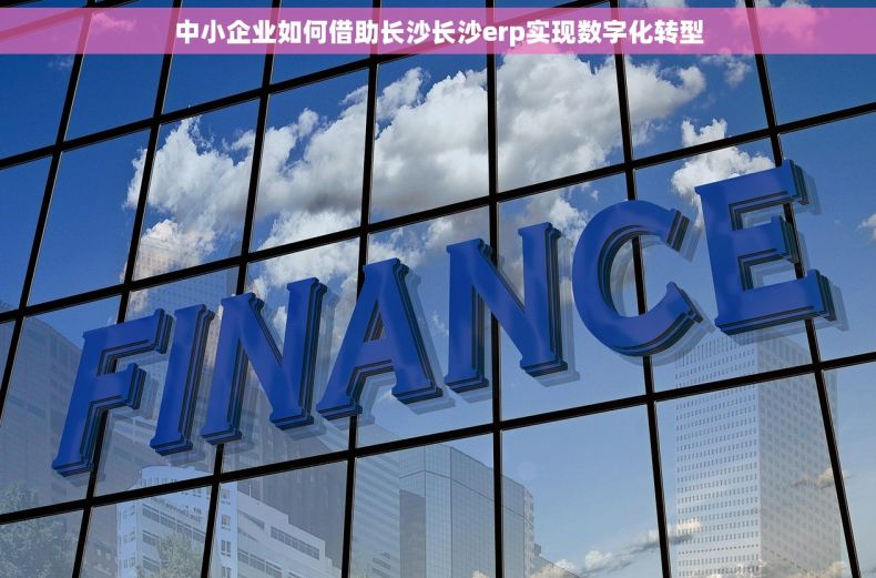 中小企业如何借助长沙长沙erp实现数字化转型