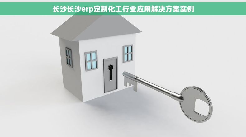 长沙长沙erp定制化工行业应用解决方案实例