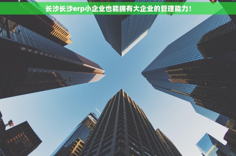 长沙长沙erp小企业也能拥有大企业的管理能力！