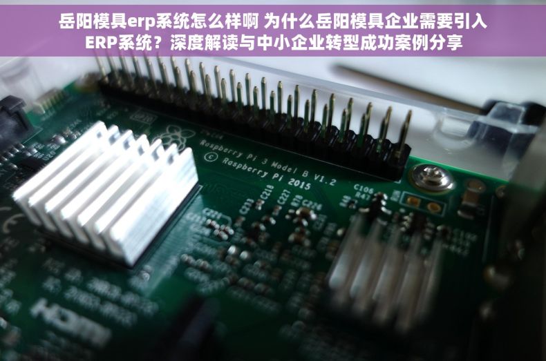 岳阳模具erp系统怎么样啊 为什么岳阳模具企业需要引入ERP系统？深度解读与中小企业转型成功案例分享